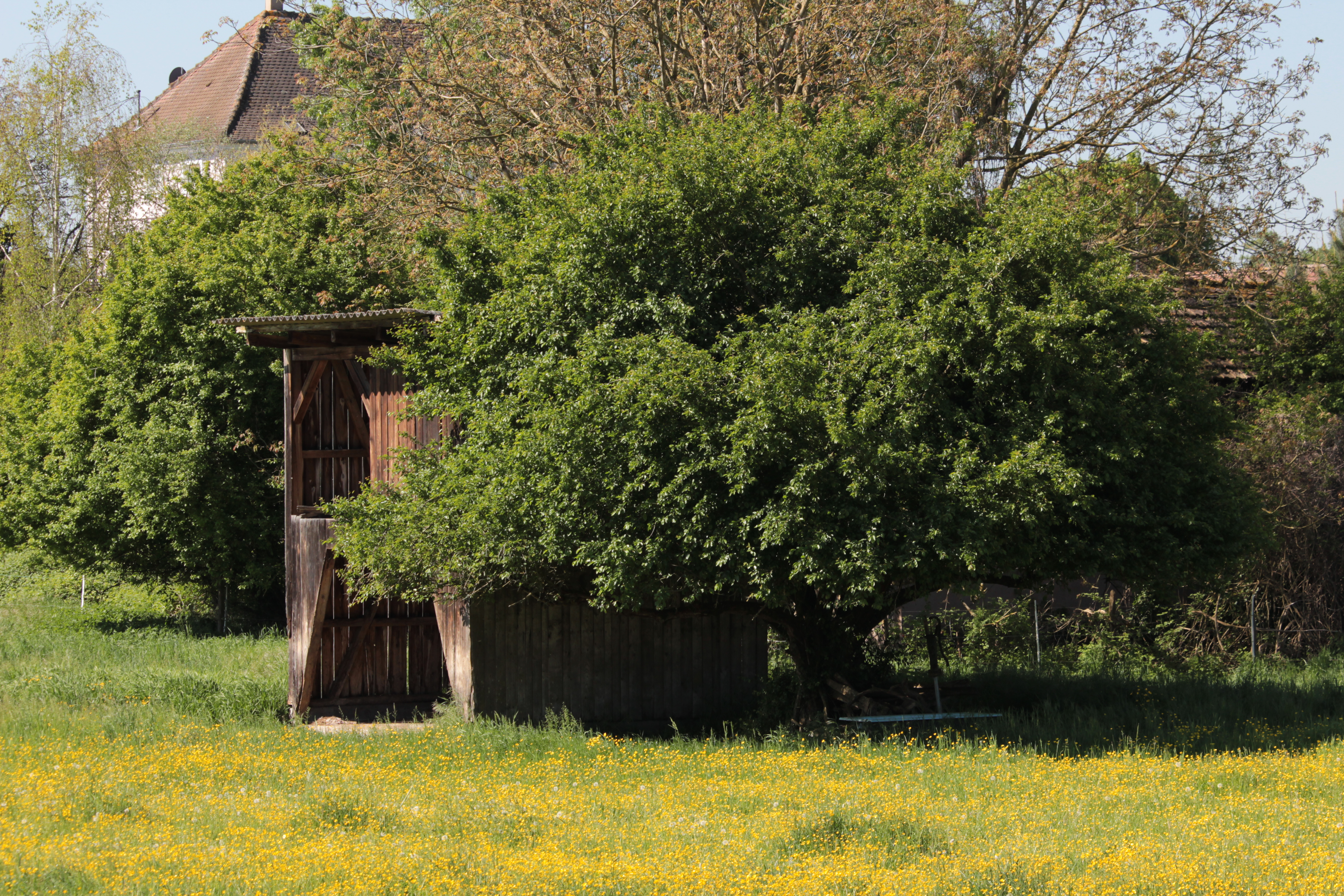Grange en bois dans une prairie fleurie